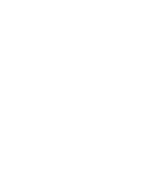 About us 1 in2tel-voice-icon